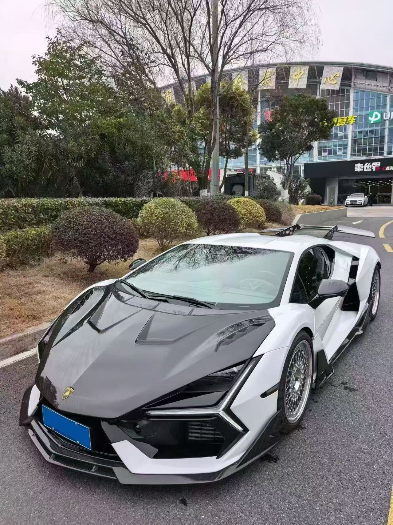 Lamborghini Revuelto Style-D Dry Carbon Fiber Body Kit | OEM 1:1 Fit